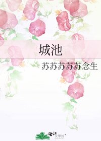 《城池》