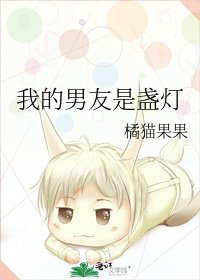 《我的男友是盞燈》