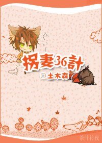 《拐妻36計》