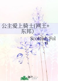 《公主愛上騎士(網王+東邦)》