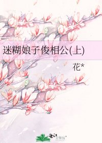 迷糊娘子俊相公(上)
