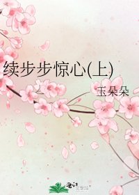《續步步驚心(上)》