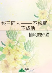 《終三同人———不瘋魔,不成活》