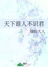 《天下誰人不識君》