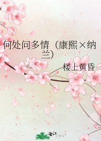 《何處問多情(康熙×納蘭)》