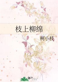 《枝上柳綿》