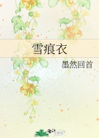 《雪痕衣》