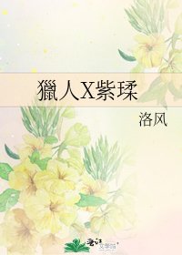 《獵人X紫瑈》