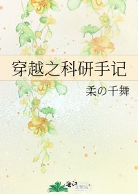 《穿越之科研手記》