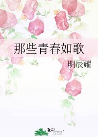 《那些青醇如歌》