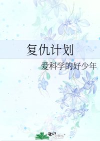 《復仇計劃》