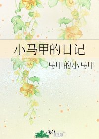 《小馬甲的日記》