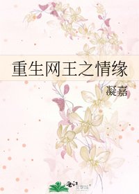 《重生網王之情緣》