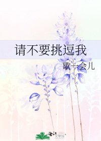 《請不要挑逗我》
