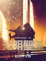 《光明壁壘》