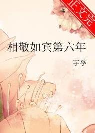 《相敬如賓第六年》