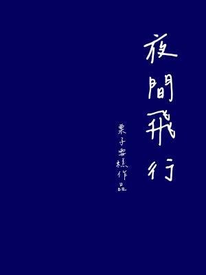 《夜間飛行》