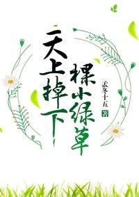 《天上掉下棵小律草》