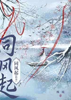 《穿書女佩,但考科舉》