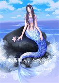 《釣系鮫人,在線釣我》