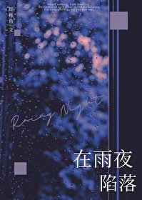 《在雨夜陷落》