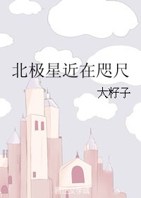 《北極星近在咫尺》