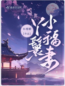 《丫鬟小福妻》