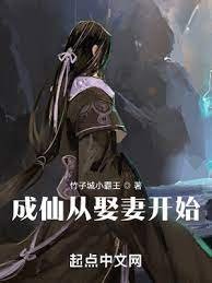 《成仙從娶妻開始》
