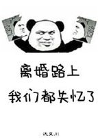 《離婚路上,我們都失憶了》