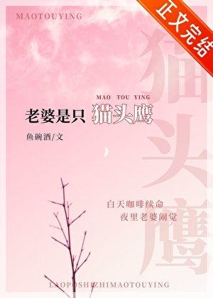 《傲嬌老婆是隻貓頭鷹》
