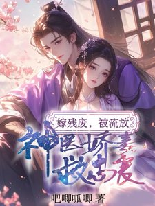 嫁殘廢，被流放，神醫嬌妻救忠良