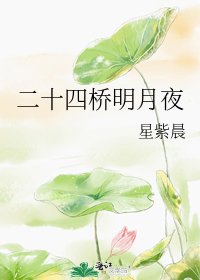 《二十四橋明月夜》