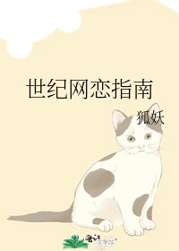 《世紀網戀指南》