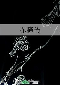 《赤瞳傳》