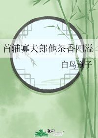 《首輔寡夫郎他茶香四溢》