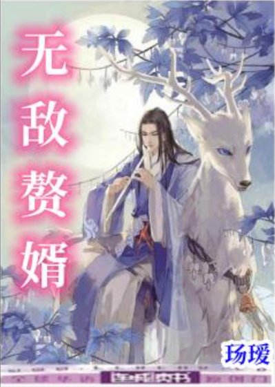 《無敵贅婿》