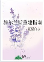 《赫爾蘭斯重建指南》