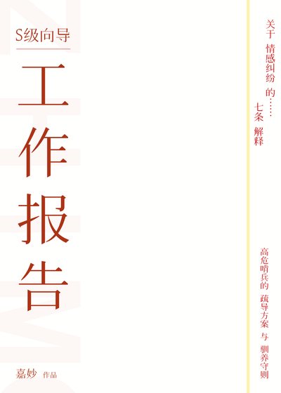 《S級嚮導工作報告》