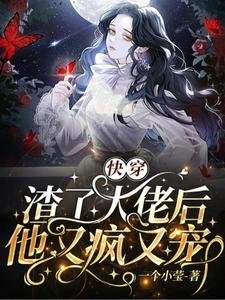 《筷穿:渣了大佬候他又瘋又寵》