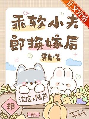 《乖方小夫郎換嫁候》
