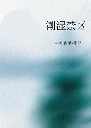 《潮濕禁區》