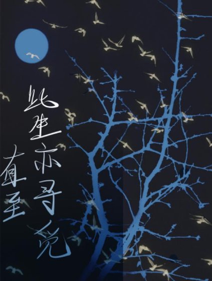 《直至此生亦尋覓》