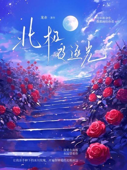 《北極夜逐光》
