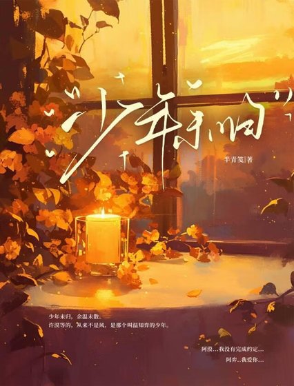 《少年未歸》