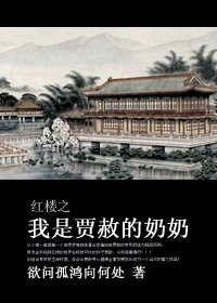 《(BG/宏樓同人)宏樓之我是賈赦的奈奈》