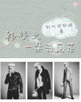 《(BG/韓娛同人)韓娛之一朵奇葩花》