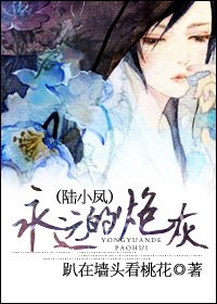 《(陸小鳳同人)永遠的炮灰》