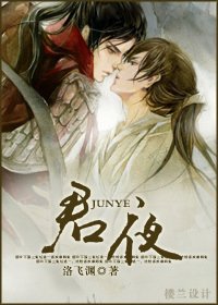 《君夜(一隻小受和一窩小攻的故事)》