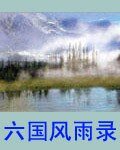 《六國風雨錄》