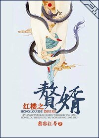 《(BG/紅樓同人)紅樓之贅婿》